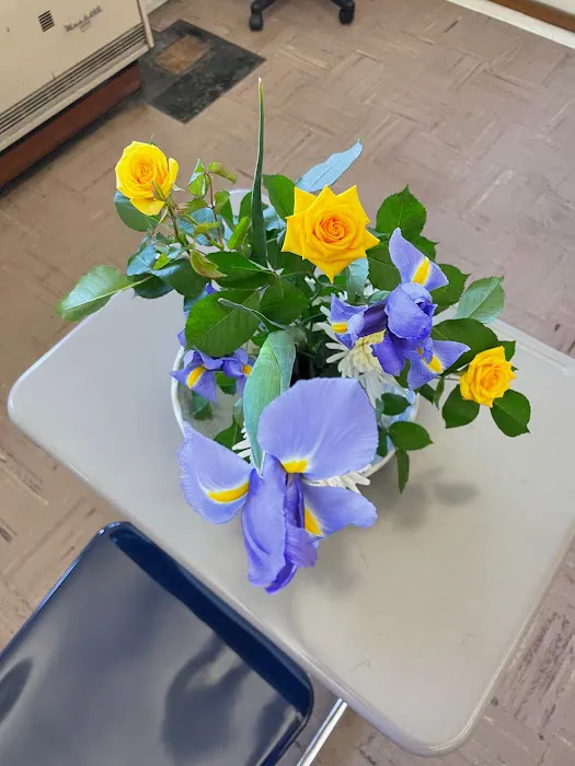 Splendoor In Home Care LLC Picture 1