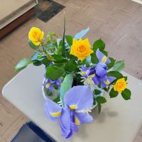 Splendoor In Home Care LLC ico