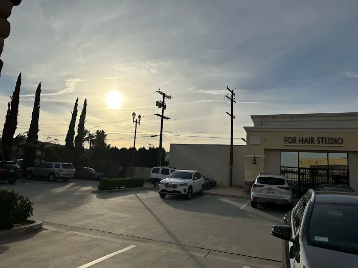 Wise Home Health, Inc. Picture 3