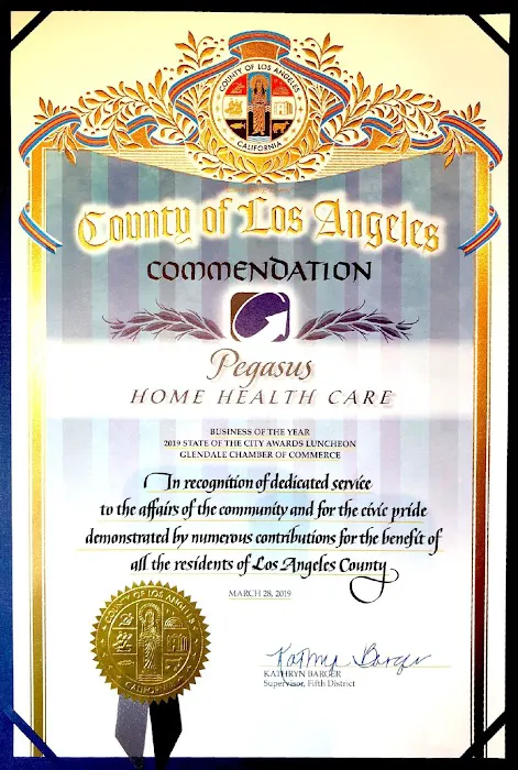 Pegasus Home Health Care, Home Care, Personal Care and Caregivers Picture 7