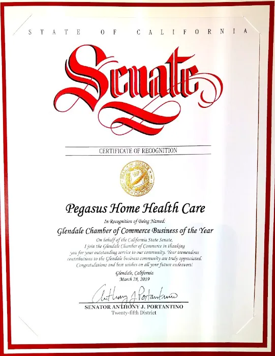 Pegasus Home Health Care, Home Care, Personal Care and Caregivers Picture 9