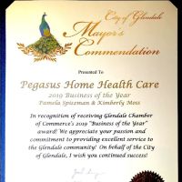 Pegasus Home Health Care, Home Care, Personal Care and Caregivers ico