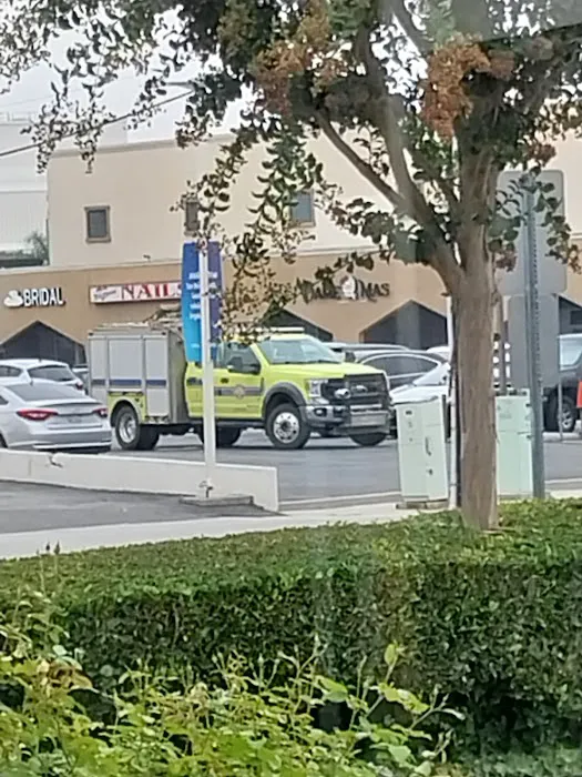 A-1 Domestic Professional Services Inc. Picture 3