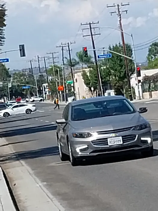 A-1 Domestic Professional Services Inc. Picture 1