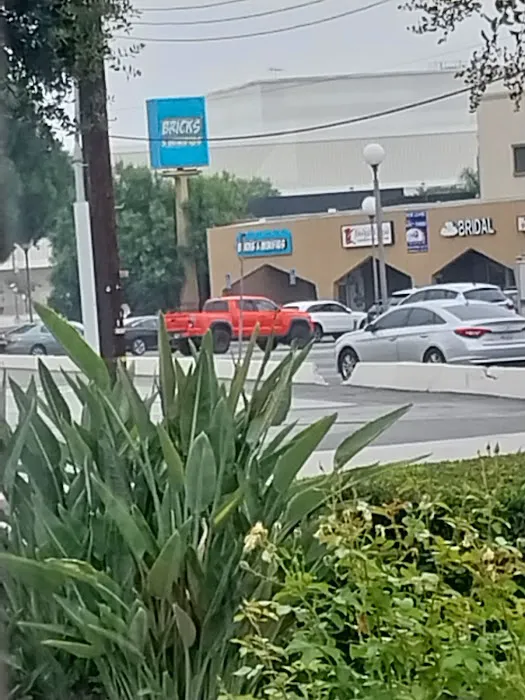 A-1 Domestic Professional Services Inc. Picture 4