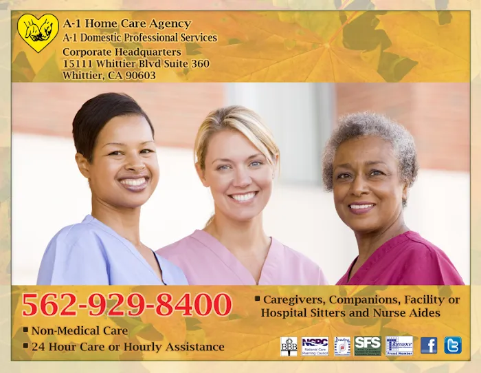 A-1 Domestic Professional Services Inc. Picture 6