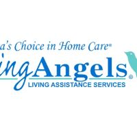 Visiting Angels ico