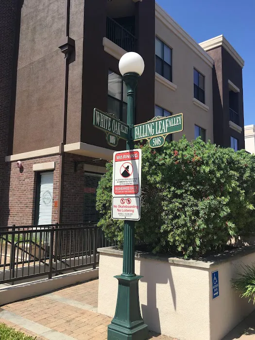 Comfort Keepers Home Care Picture 5