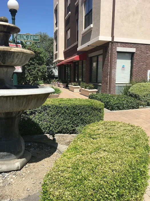 Comfort Keepers Home Care Picture 8