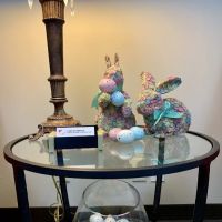 Livingstone Home Health Services ico