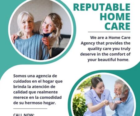 REPUTABLE HOME CARE LLC