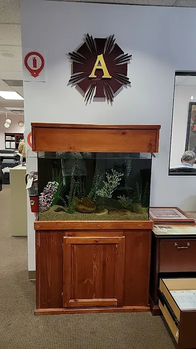 Admiral Home Health Inc Picture 8