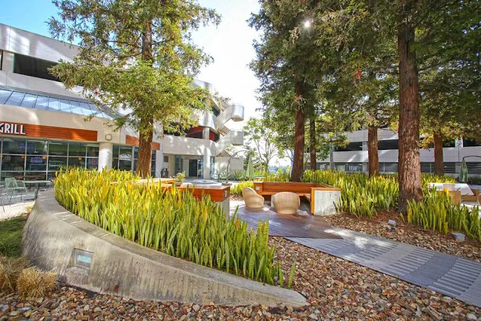 Everlight Care Picture 2