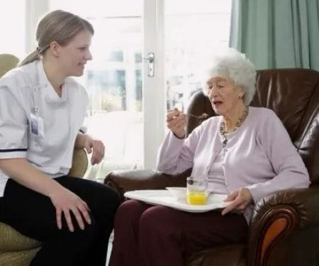 Home Caregiver Companion