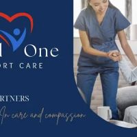 Loved One Comfort Care ico