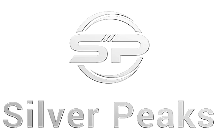 Silver Peaks Home Care & Placement Picture 5