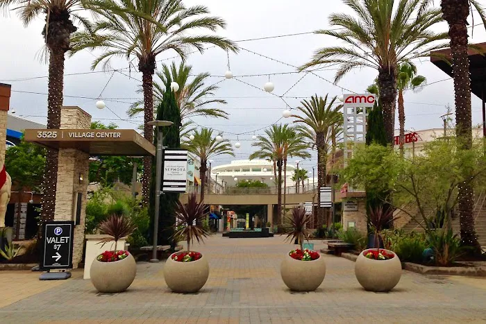 American Geriatric Care Management - Torrance Picture 8