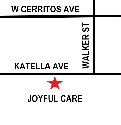 Joyful Care Caregiving Services Picture 1