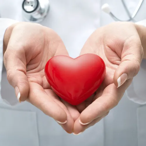 Comfort Keepers Home Care Picture 4