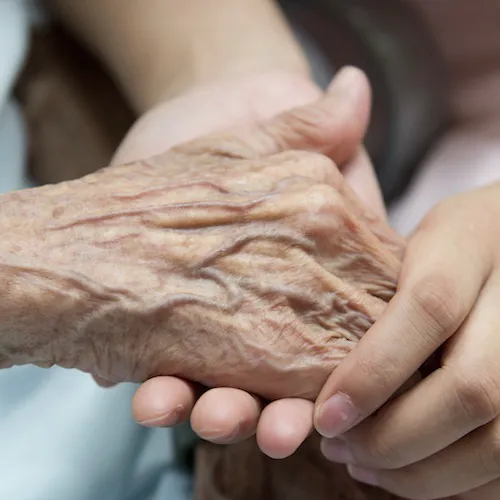 Comfort Keepers Home Care Picture 8