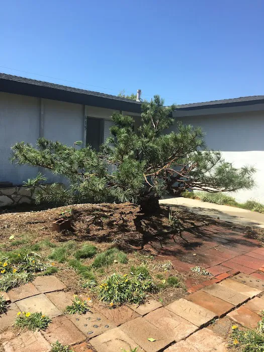 graceful hearts inc Picture 1