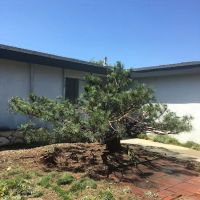 graceful hearts inc ico