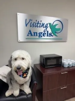 Visiting Angels Senior Home Care Orange Picture 2