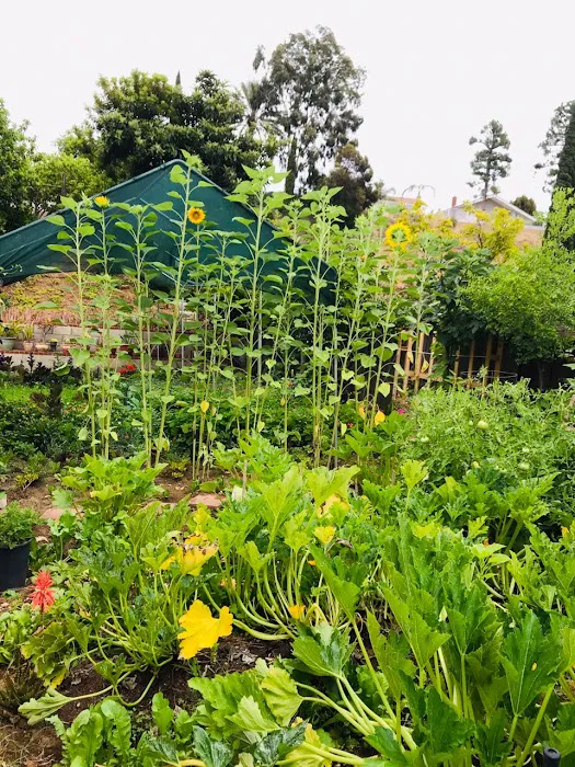 Hope Home assisted living facility Picture 9