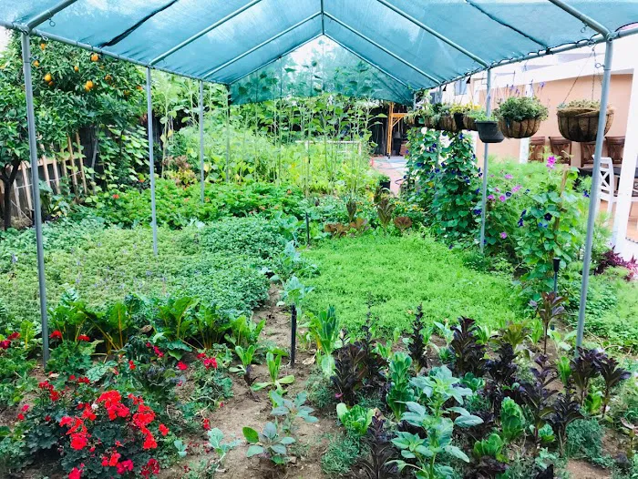 Hope Home assisted living facility Picture 3