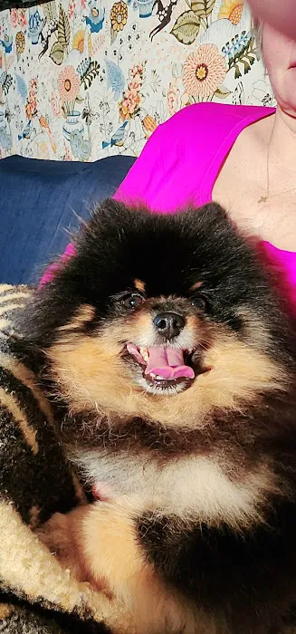 Neighborhood Life Care Services, LLC. Picture 2