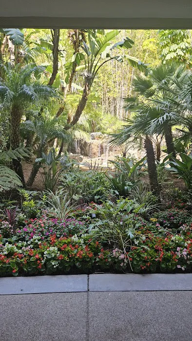 American HomeCare 1 Picture 1