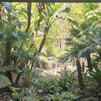 American HomeCare 1 ico