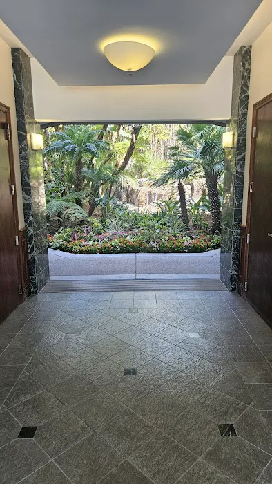 American HomeCare 1 Picture 4