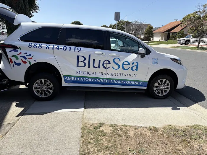 BlueSea Care Services Picture 9