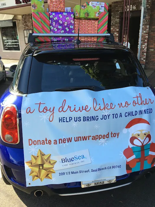 BlueSea Care Services Picture 3