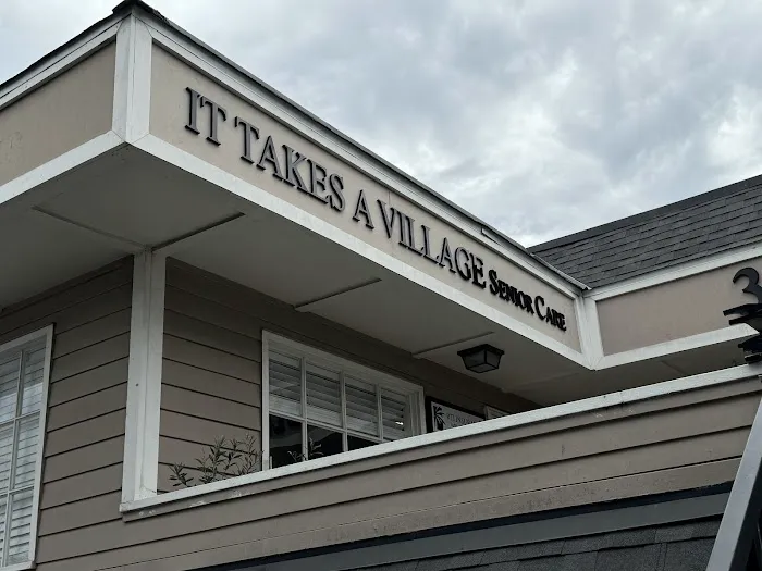 It Takes A Village Senior Care Picture 8