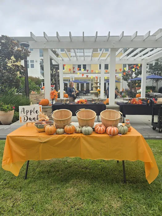 St Jude Cares Picture 1