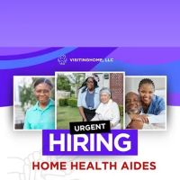 Visitinghome LLC ico