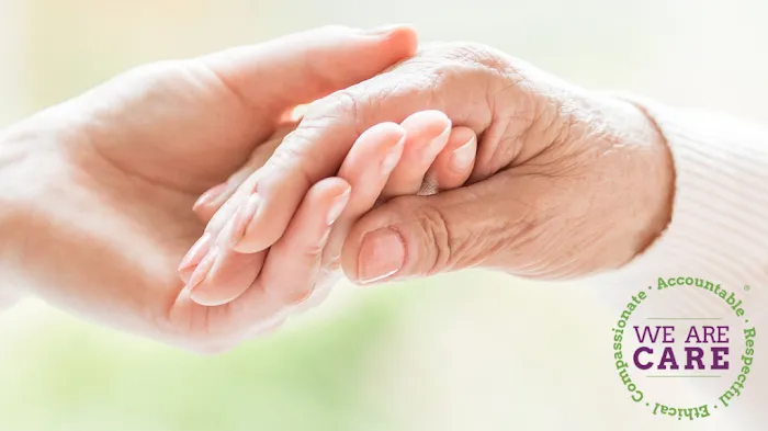 A Place At Home - South Bay Picture 3