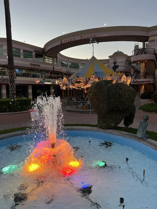 All Seniors Foundation Picture 1