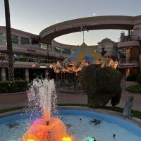 All Seniors Foundation ico