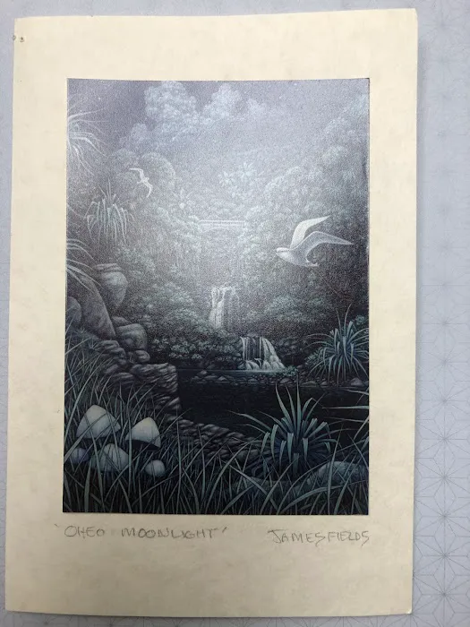 Morecare Palliative & Hospice, Inc. Picture 7