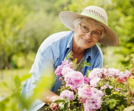Optimal Senior Care Solutions