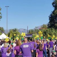 Hospice Care Providers, Inc. ico