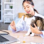 How to Create a Yearly Wellness Plan for Your Pet
