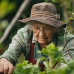 Tips for Creating a Safe and Inviting Outdoor Space for Seniors