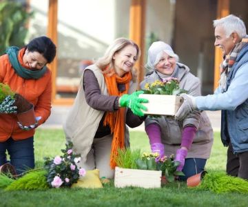 Strategies for Encouraging Seniors to Engage in Light Household Activities