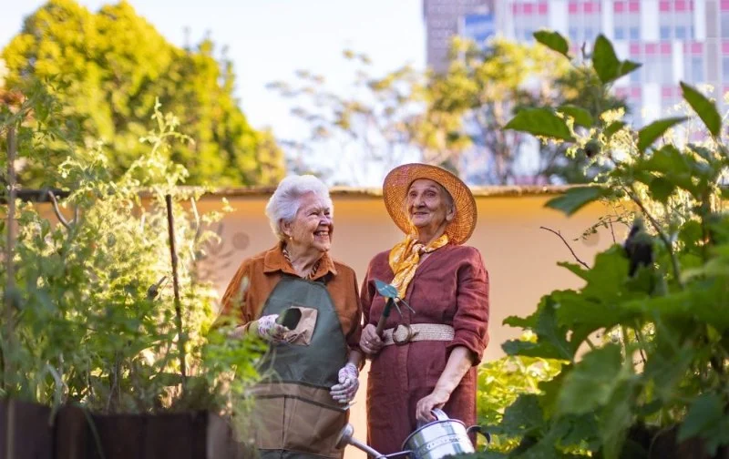Easy Gardening Activities That Promote Physical and Mental Health for Older Adults