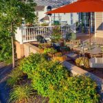 Strategies for Creating a Safe and Enjoyable Outdoor Space for Older Adults