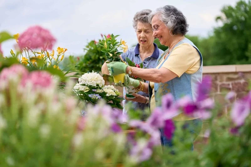 How to Use Gardening for Physical and Mental Wellness in Older Adults